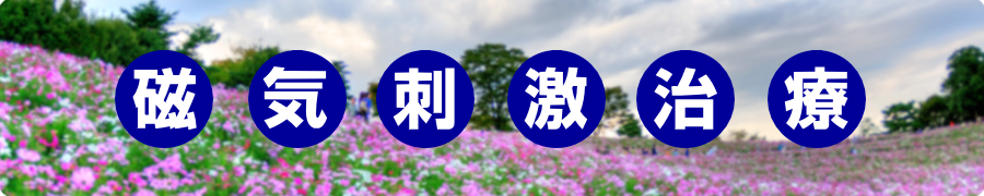 磁気刺激治療