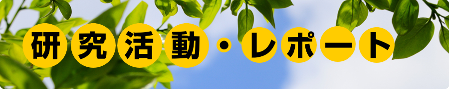 研究・レポート