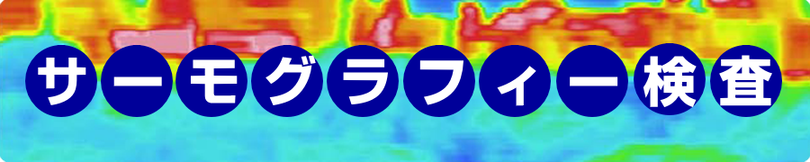 サーモグラフィー検査