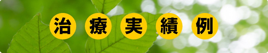 治療実績例