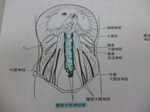 P1020798
